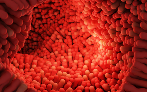 益生菌知識 益生菌知識