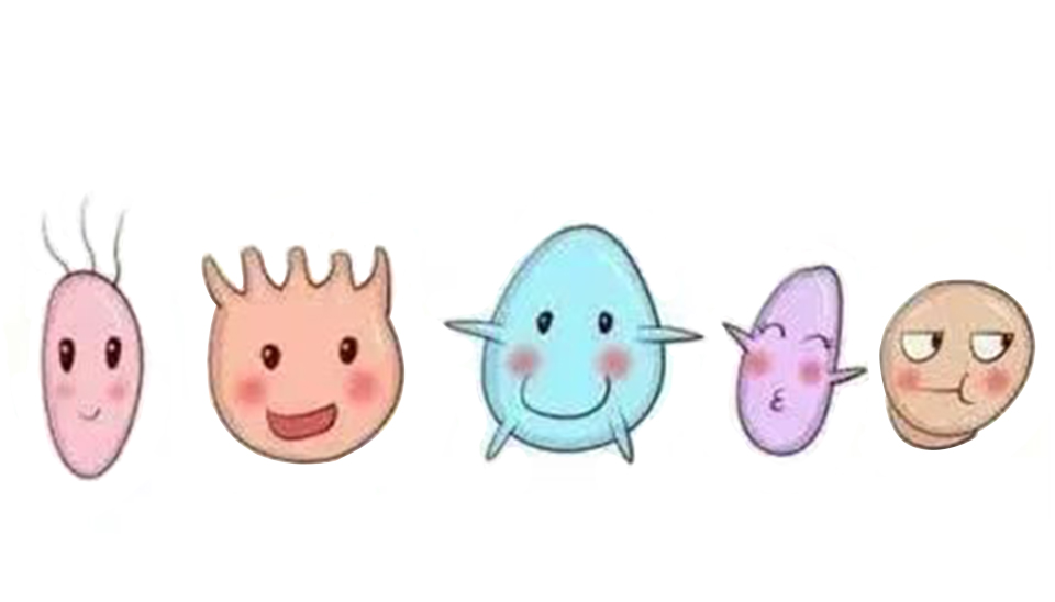 益生菌認(rèn)識誤區(qū) 益生菌認(rèn)識誤區(qū)