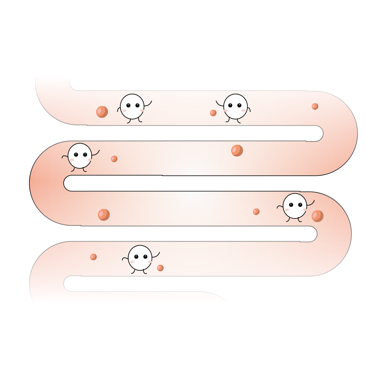 成人益生菌 益生菌知識(shí)